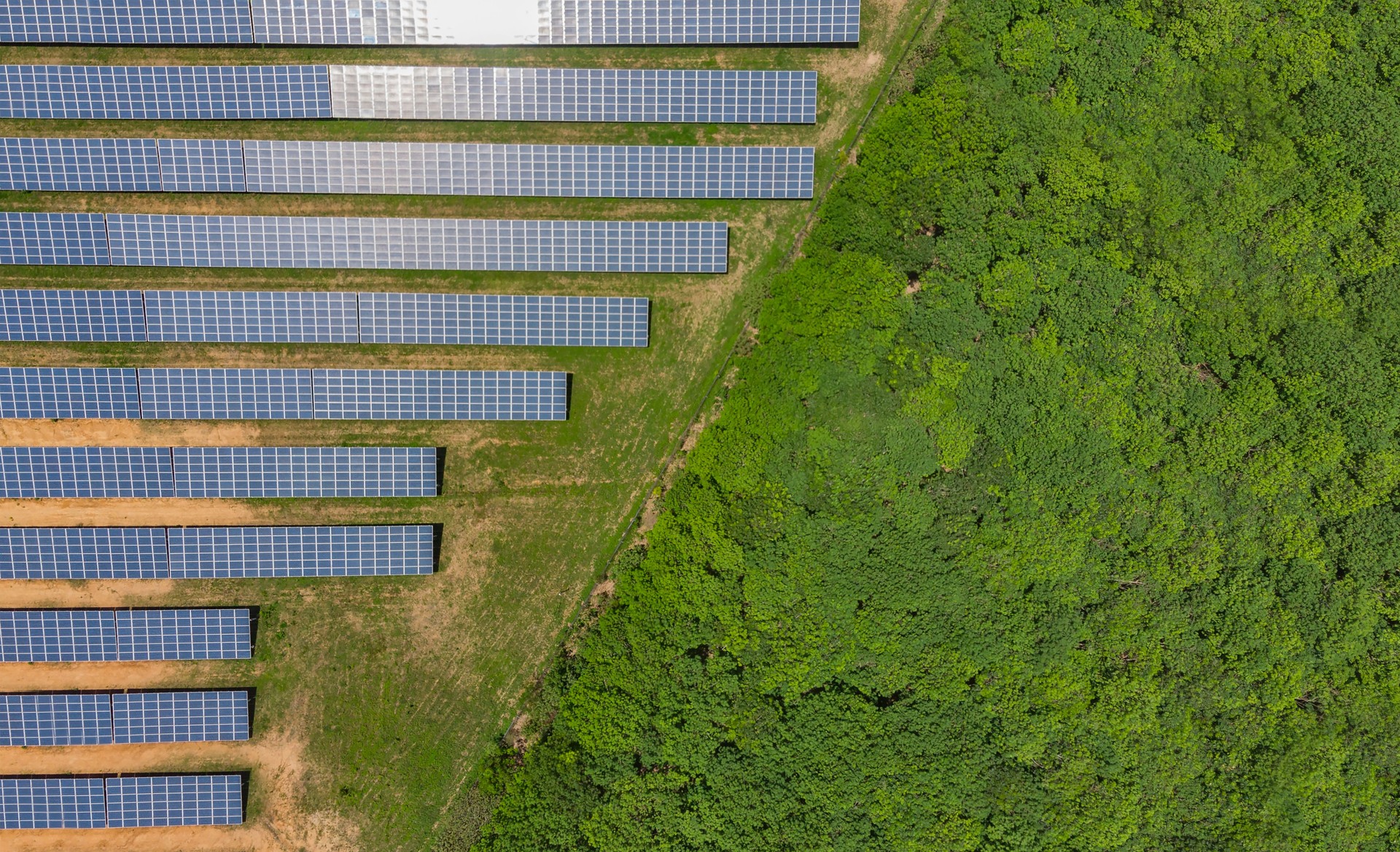 Solar panels, Solar plants are devices that convert sunlight into electricity.Solar cell can be used to generate electricity through photovoltaic effect.
