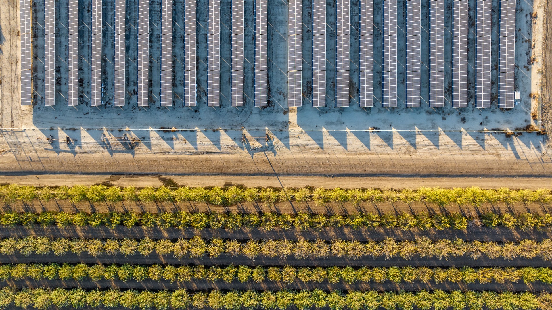 California Agrisolar Farming