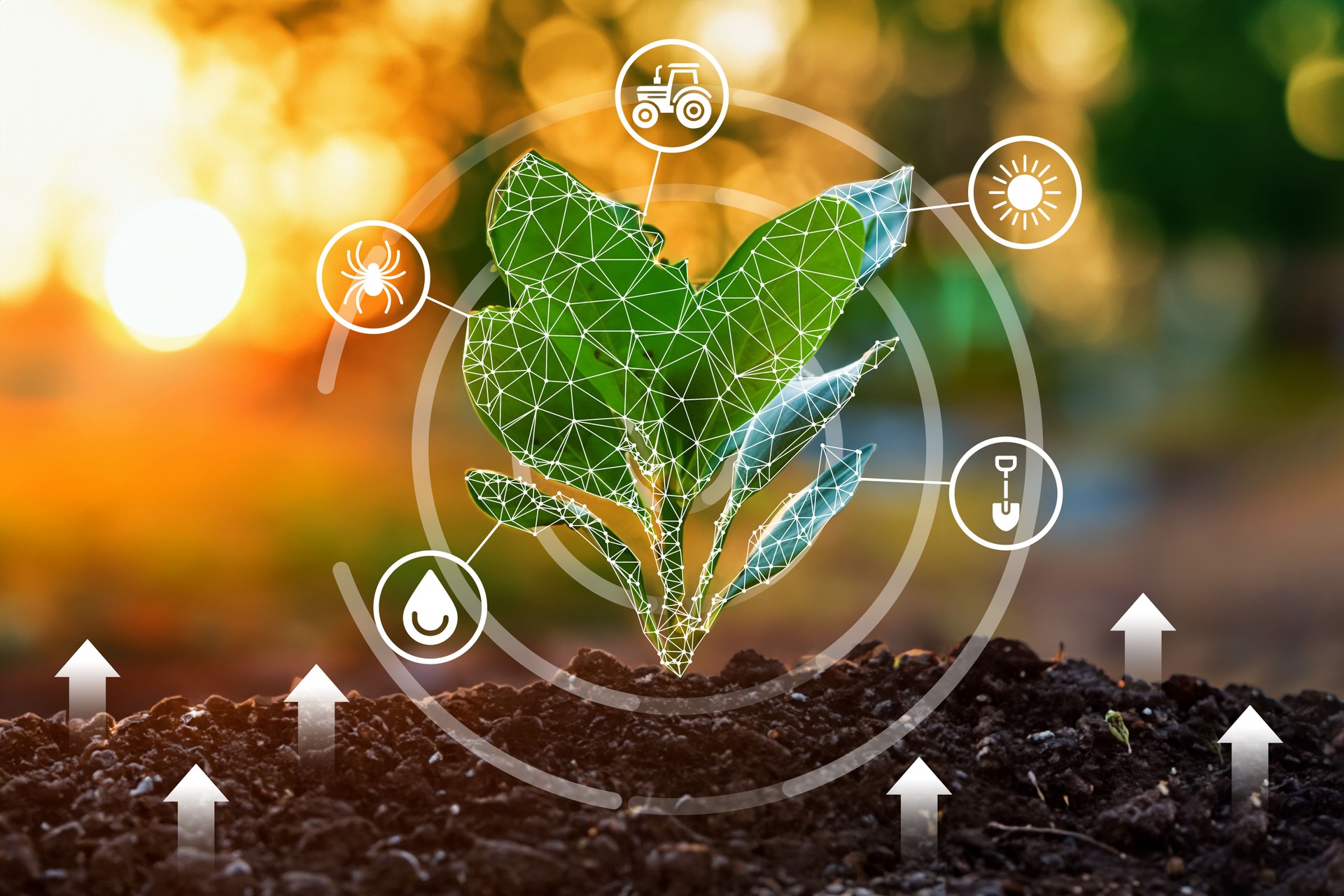 Plant Growing Out of the Ground with Icons.