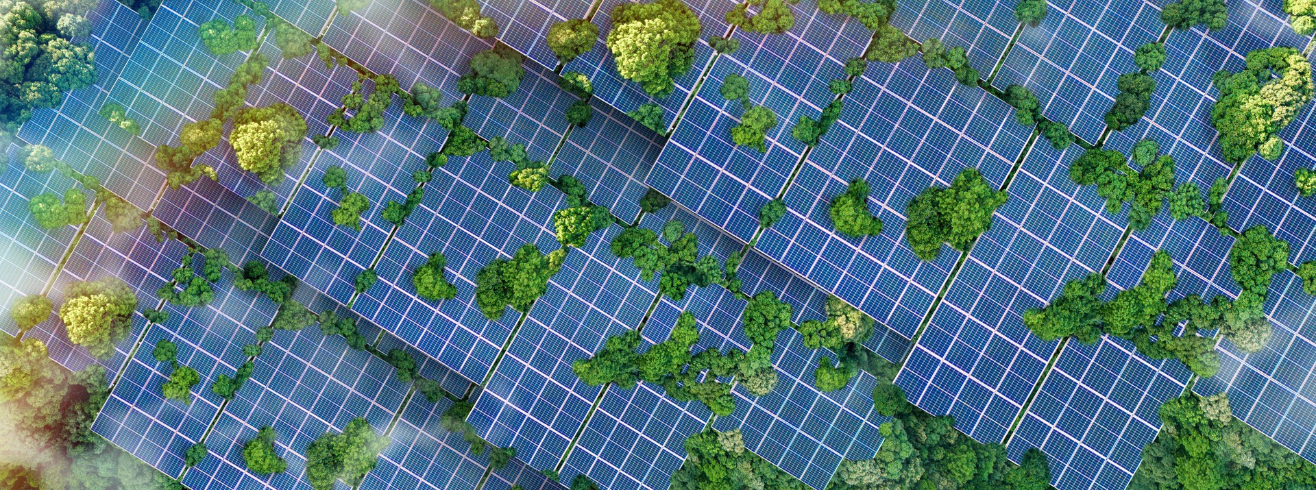 Solar panels installed in the green forest Clean alternative energy concept. Environment, solar energy, generator.