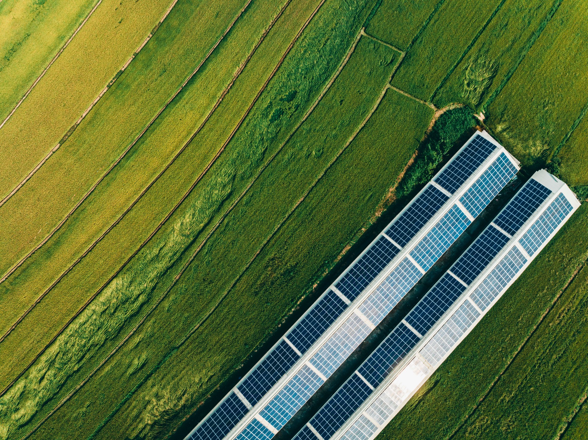 Aerial view of Solar panels , agricultural landscape in Taiwan
